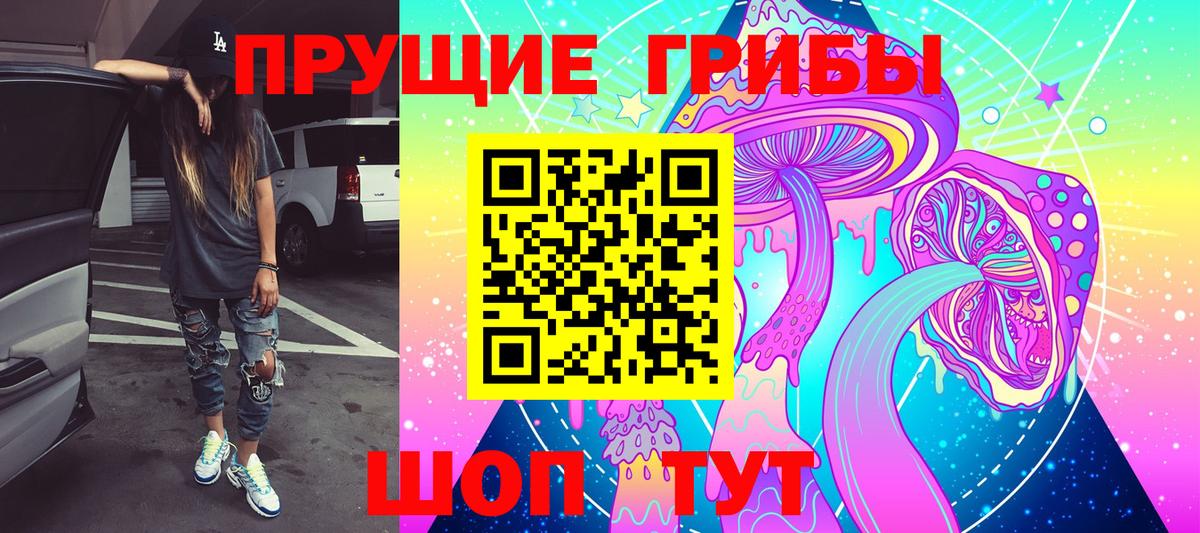 Псилоцибиновые грибы GOLDEN TEACHER Ставрополь