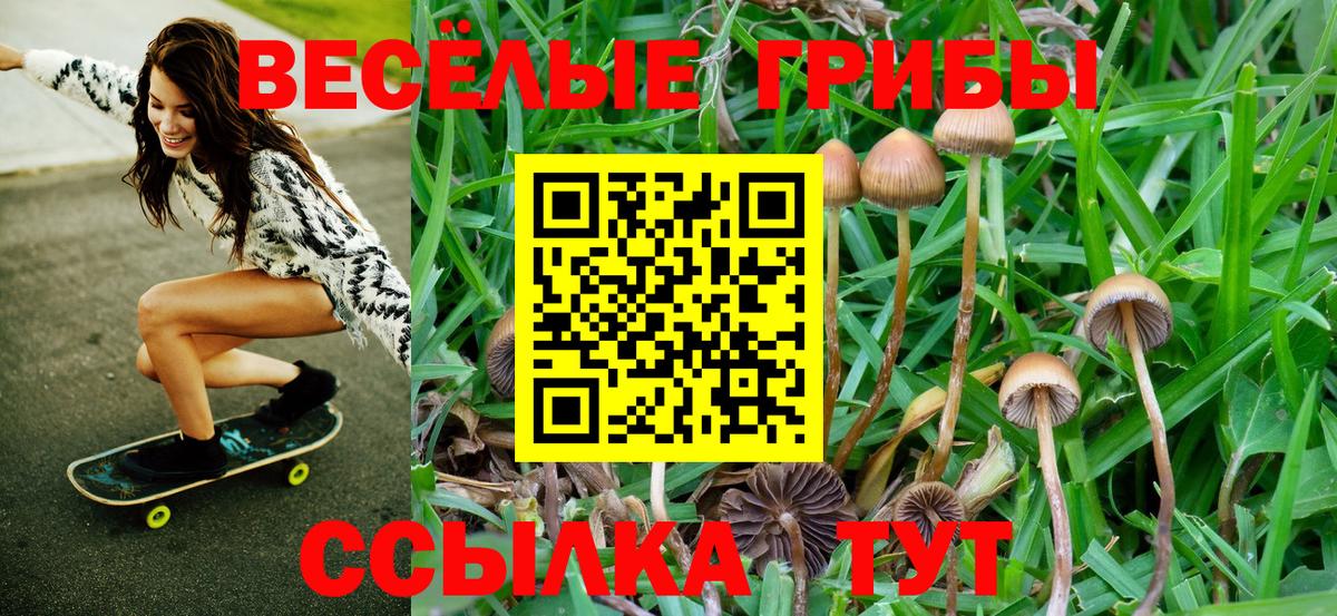 Ставрополь  Галлюциногенные грибы мицелий  Вход с VPN 